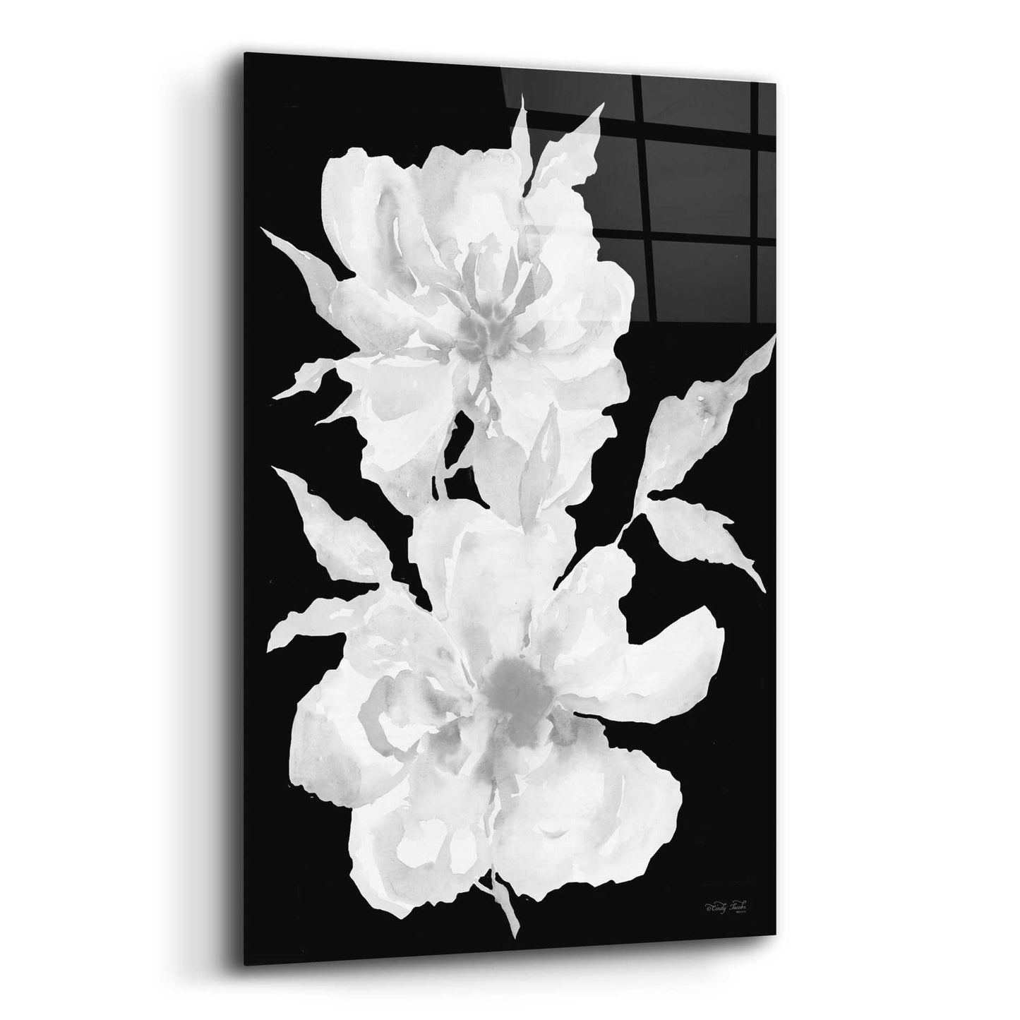 Epic Art 'Black & White Flowers I' by Cindy Jacobs, Acrylic Glass Wall Art,12x16