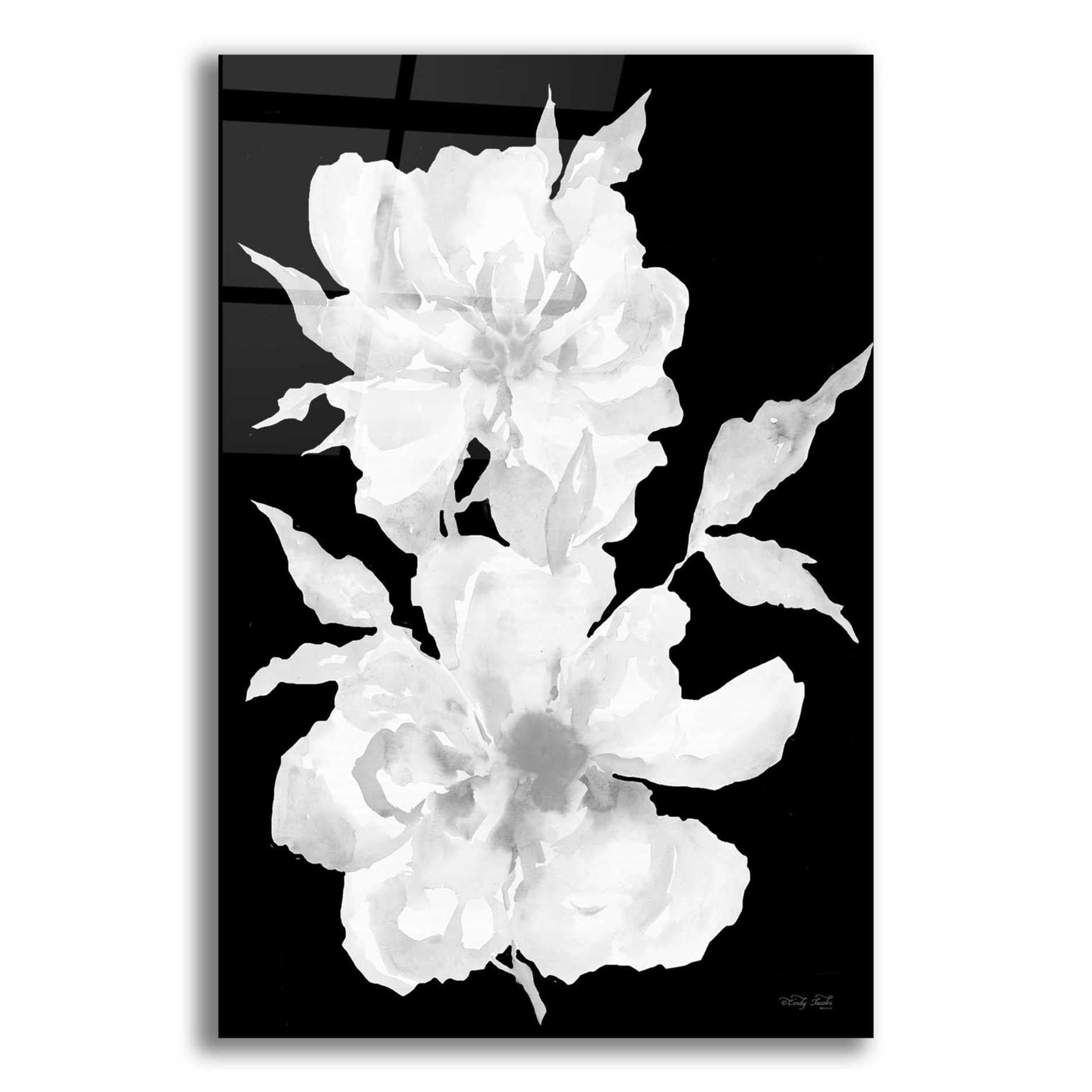 Epic Art 'Black & White Flowers I' by Cindy Jacobs, Acrylic Glass Wall Art,12x16