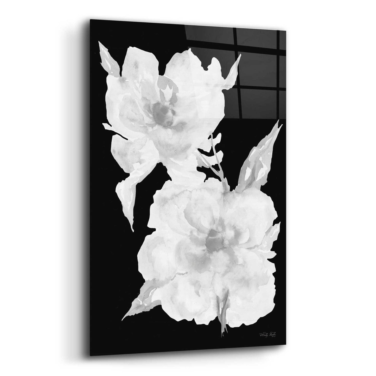 Epic Art 'Black & White Flowers II' by Cindy Jacobs, Acrylic Glass Wall Art,12x16