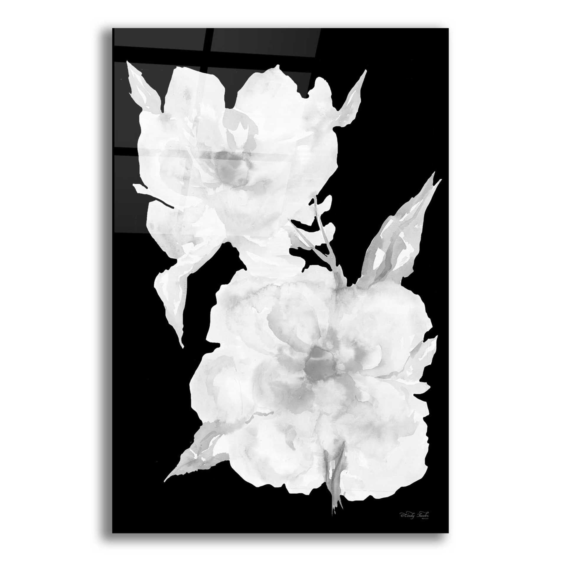 Epic Art 'Black & White Flowers II' by Cindy Jacobs, Acrylic Glass Wall Art,12x16