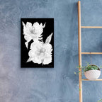 Epic Art 'Black & White Flowers II' by Cindy Jacobs, Acrylic Glass Wall Art,16x24