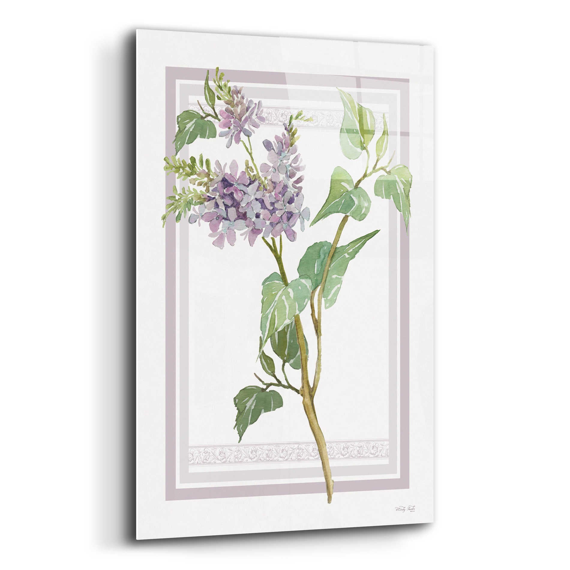 Epic Art 'Lilacs V' by Cindy Jacobs, Acrylic Glass Wall Art,12x16