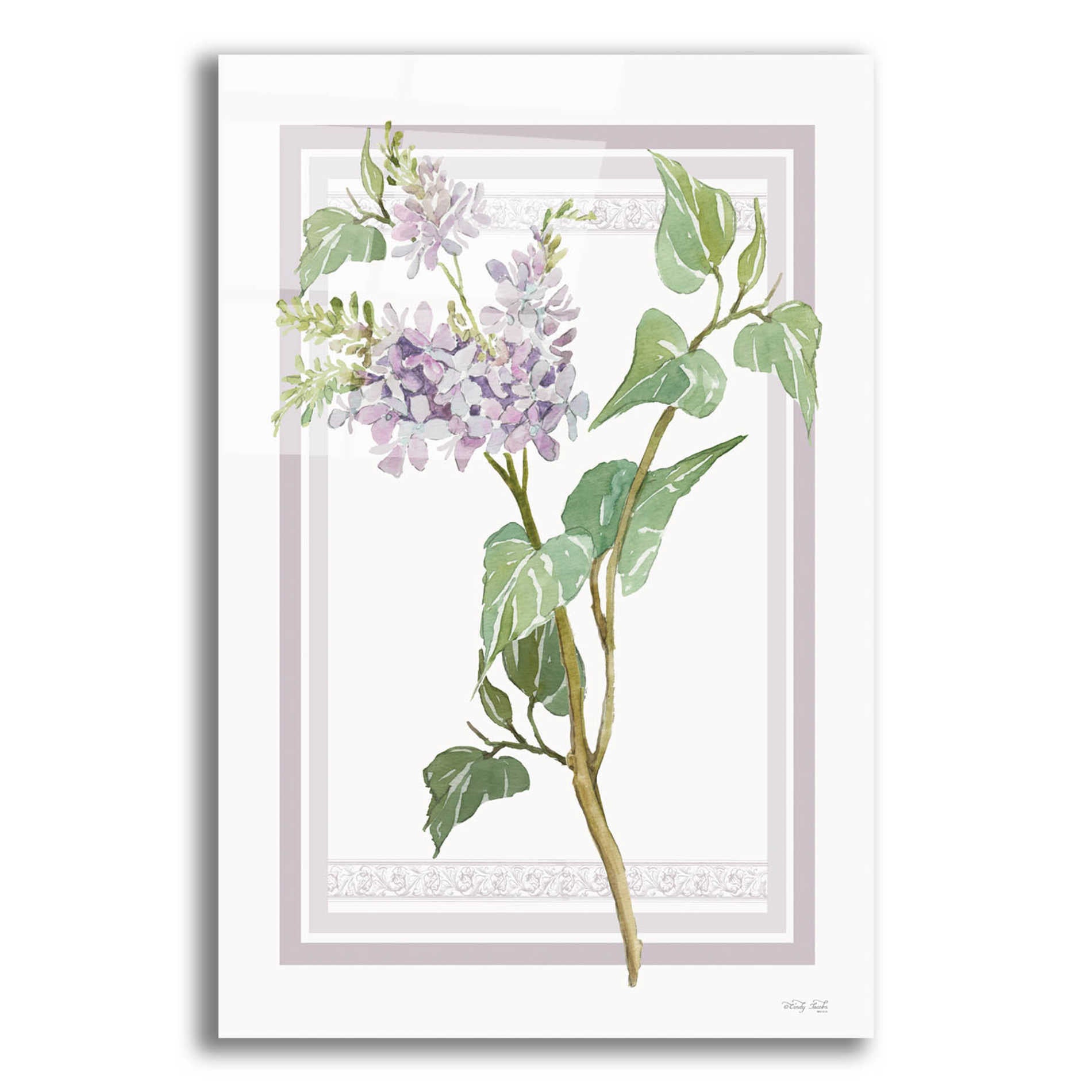 Epic Art 'Lilacs V' by Cindy Jacobs, Acrylic Glass Wall Art,12x16