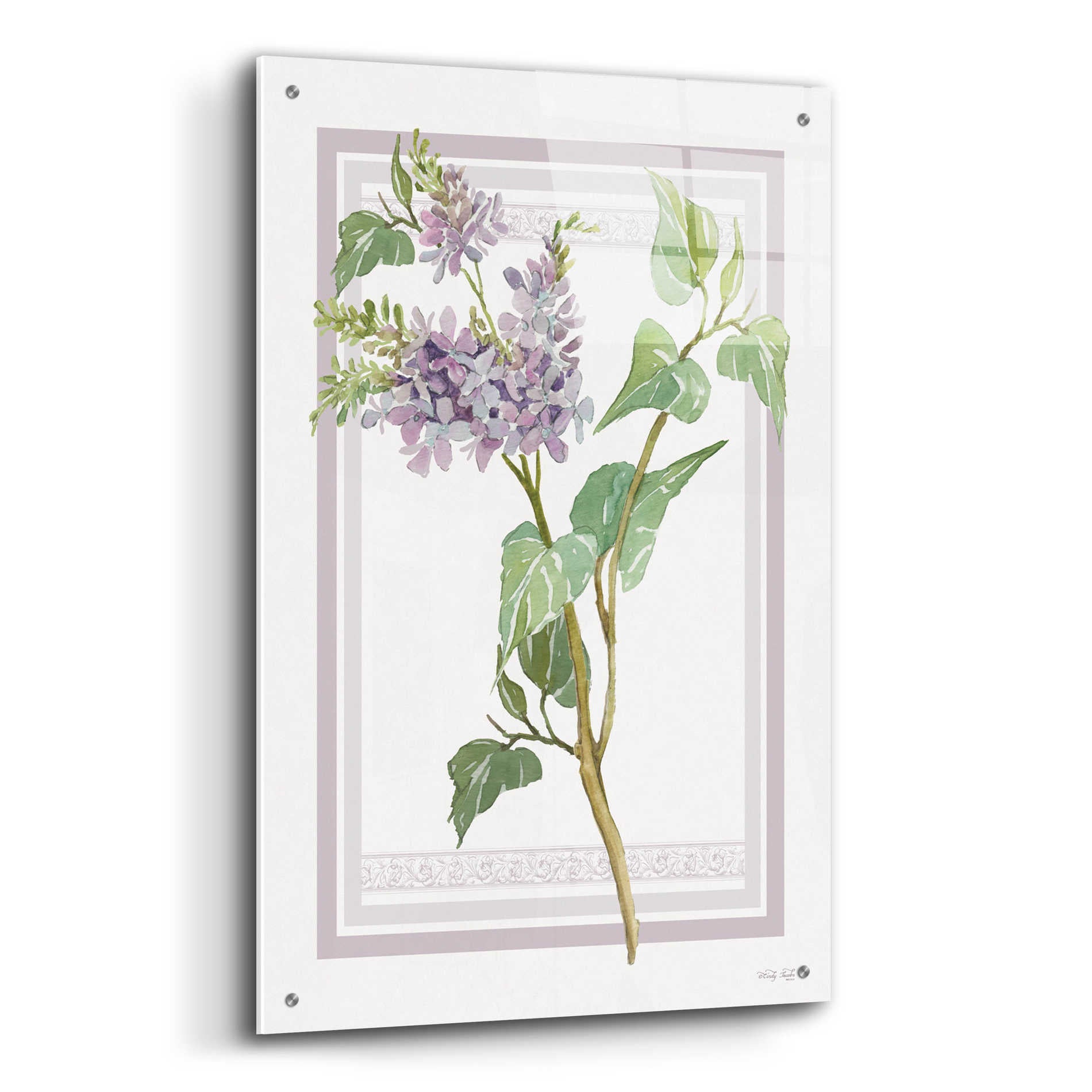 Epic Art 'Lilacs V' by Cindy Jacobs, Acrylic Glass Wall Art,24x36