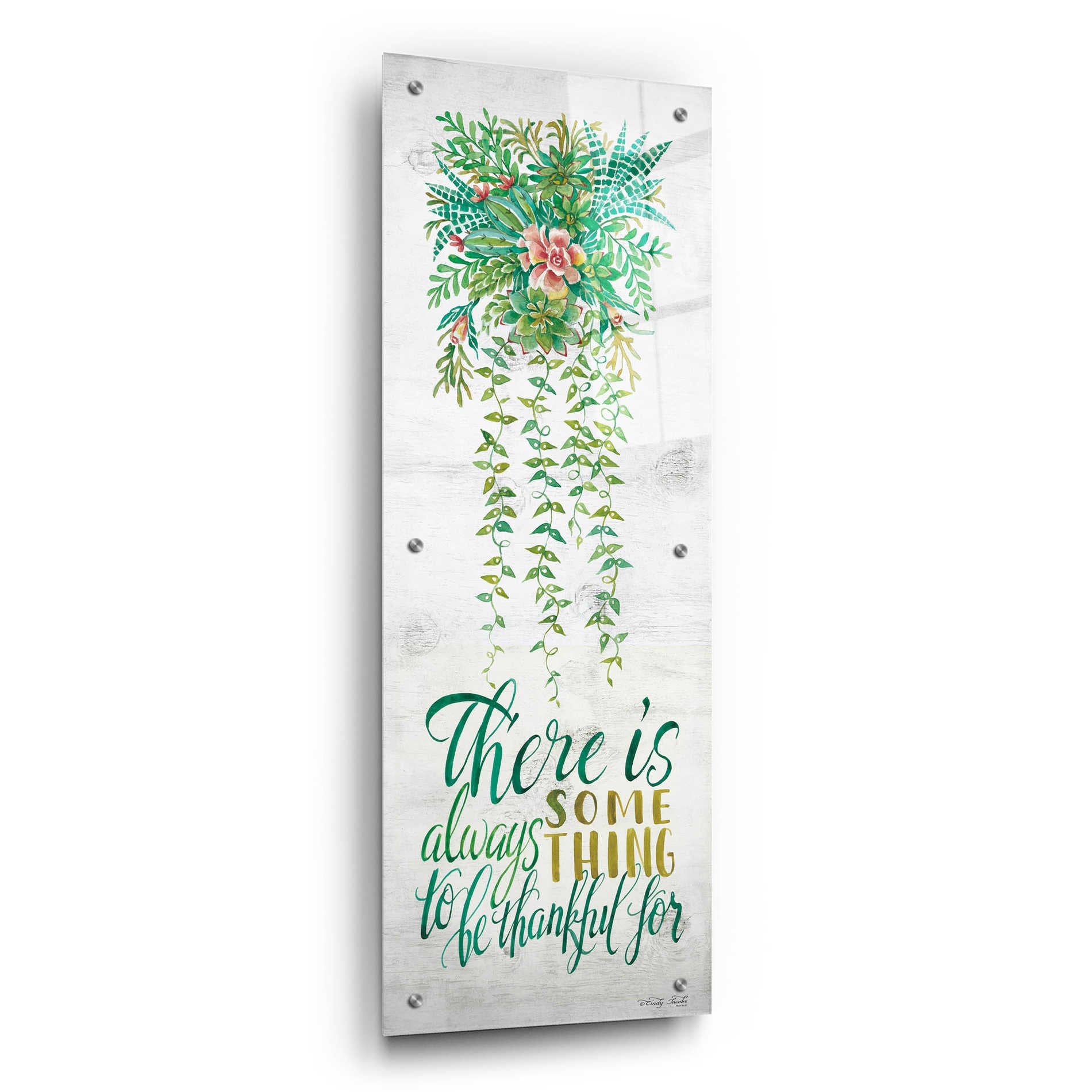 Epic Art 'Be Thankful For Hanging Plant' by Cindy Jacobs, Acrylic Glass Wall Art,12x36