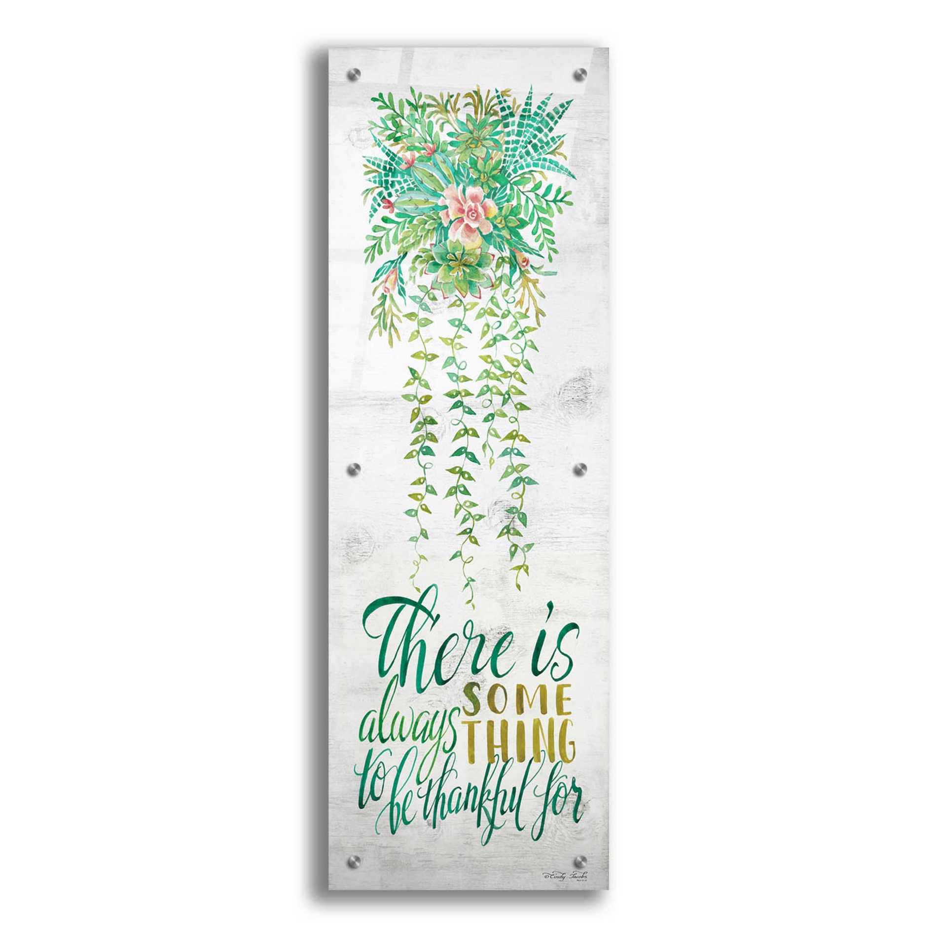 Epic Art 'Be Thankful For Hanging Plant' by Cindy Jacobs, Acrylic Glass Wall Art,12x36