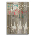 Epic Art 'O Come Let Us Adore Him' by Cindy Jacobs, Acrylic Glass Wall Art