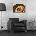 Epic Art 'Tire' by Cindy Jacobs, Acrylic Glass Wall Art,24x16