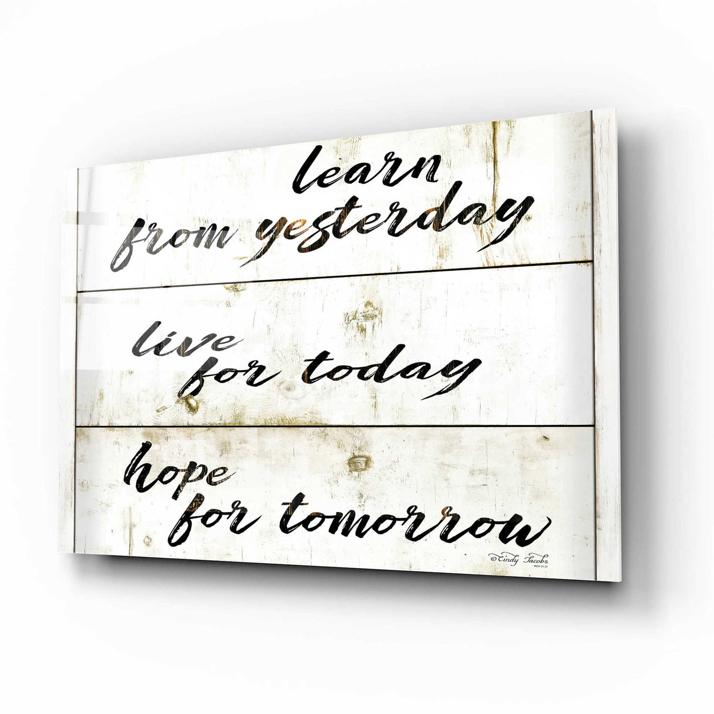 Epic Art 'Live for Today' by Cindy Jacobs, Acrylic Glass Wall Art,16x12