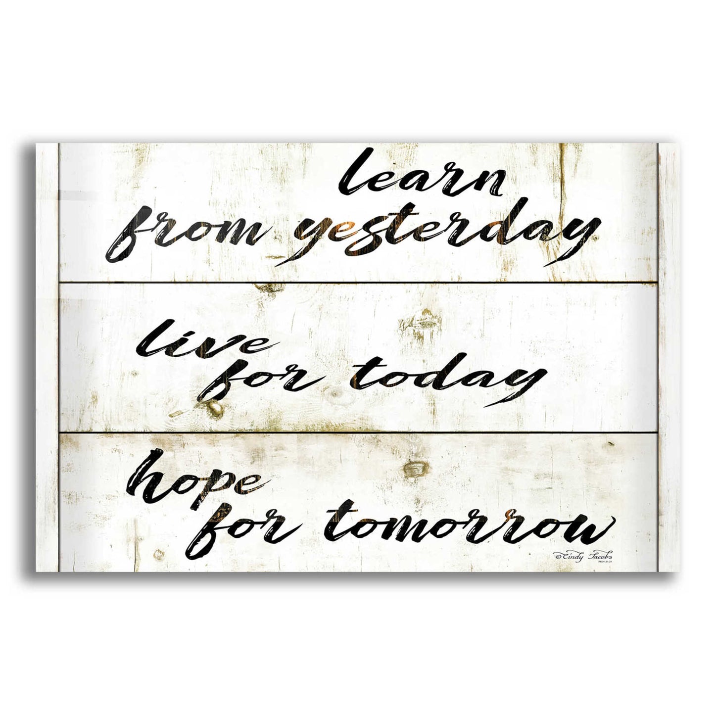 Epic Art 'Live for Today' by Cindy Jacobs, Acrylic Glass Wall Art,24x16