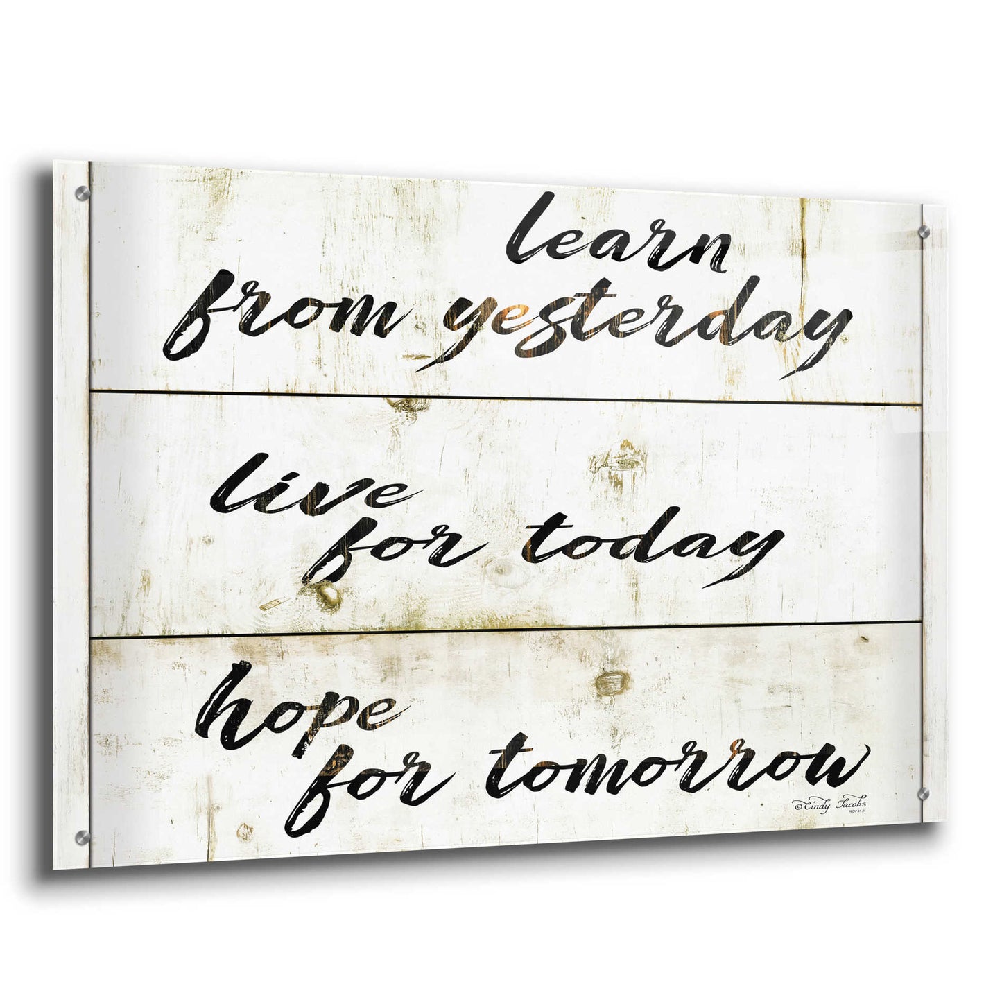 Epic Art 'Live for Today' by Cindy Jacobs, Acrylic Glass Wall Art,36x24