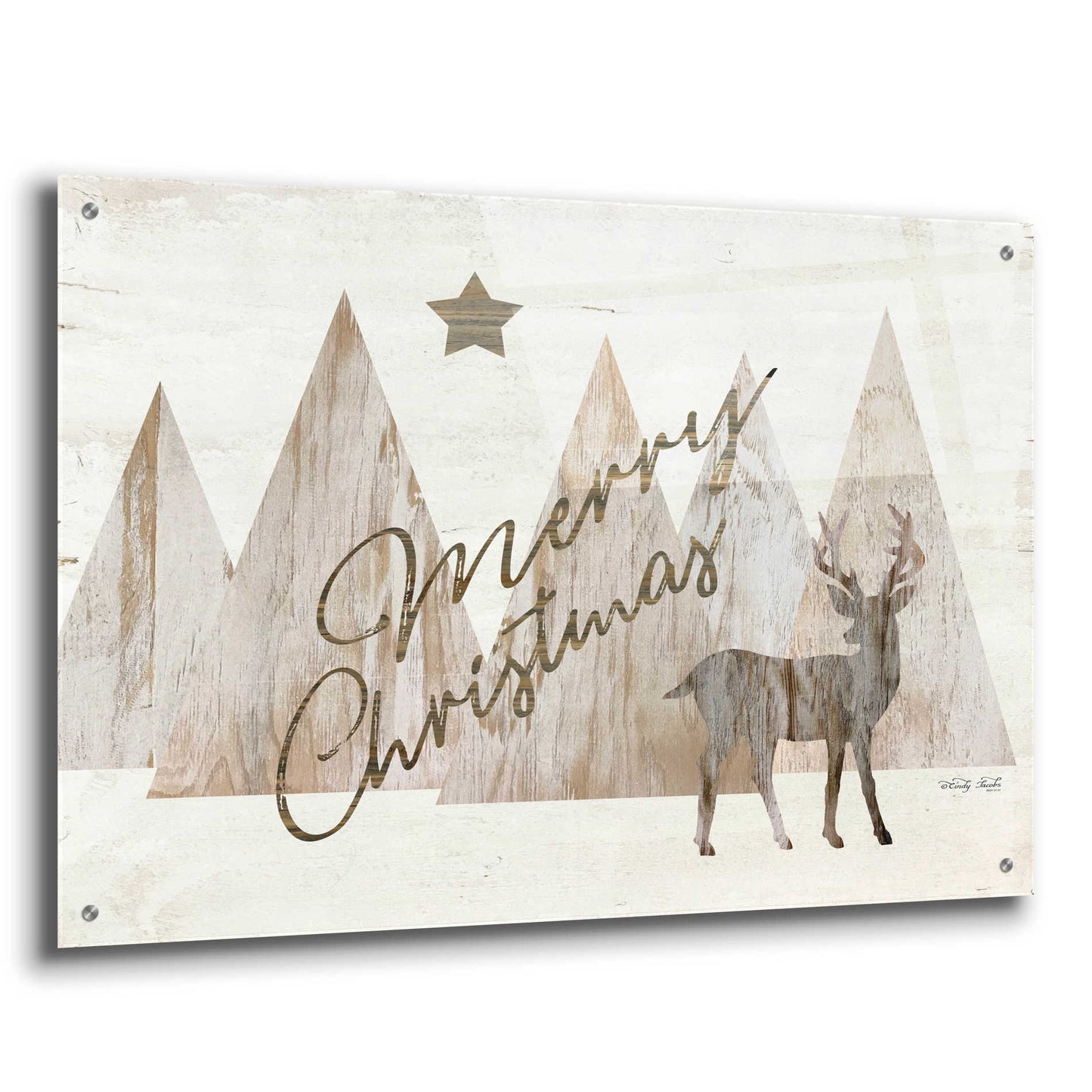 Epic Art 'Merry Christmas Deer 2' by Cindy Jacobs, Acrylic Glass Wall Art,36x24