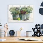 Epic Art 'Farmer Market Succulent Harvest' by Cindy Jacobs, Acrylic Glass Wall Art,16x12