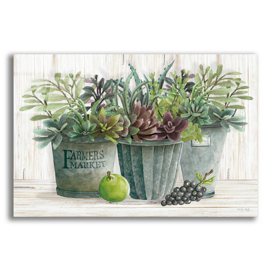 Epic Art 'Farmer Market Succulent Harvest' by Cindy Jacobs, Acrylic Glass Wall Art