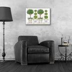 Epic Art 'Topiary Still Life' by Cindy Jacobs, Acrylic Glass Wall Art,24x16