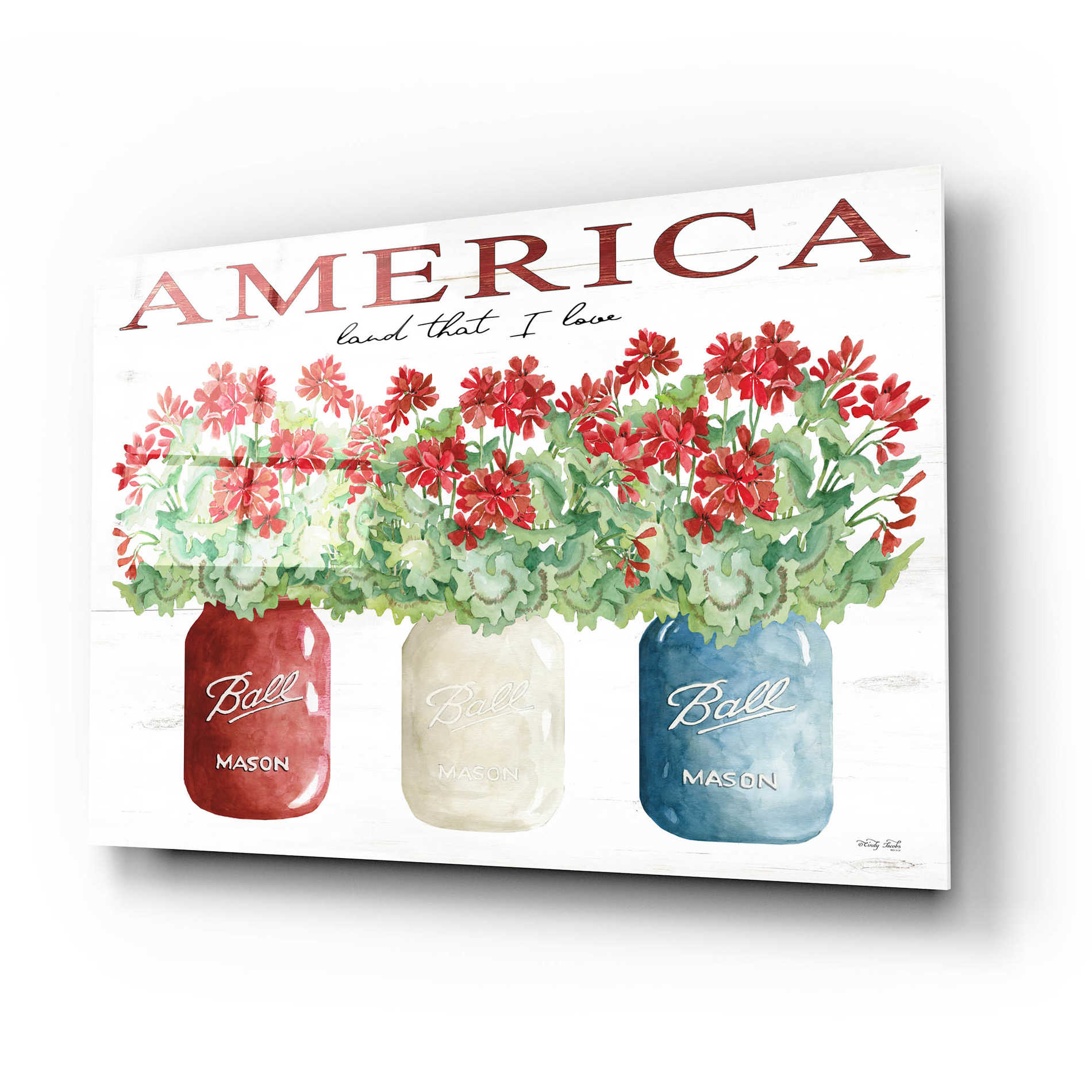 Epic Art 'America Glass Jars' by Cindy Jacobs, Acrylic Glass Wall Art,24x16