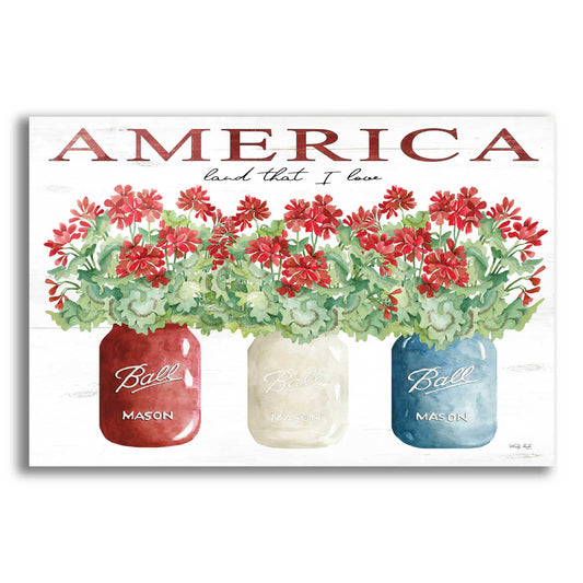 Epic Art 'America Glass Jars' by Cindy Jacobs, Acrylic Glass Wall Art