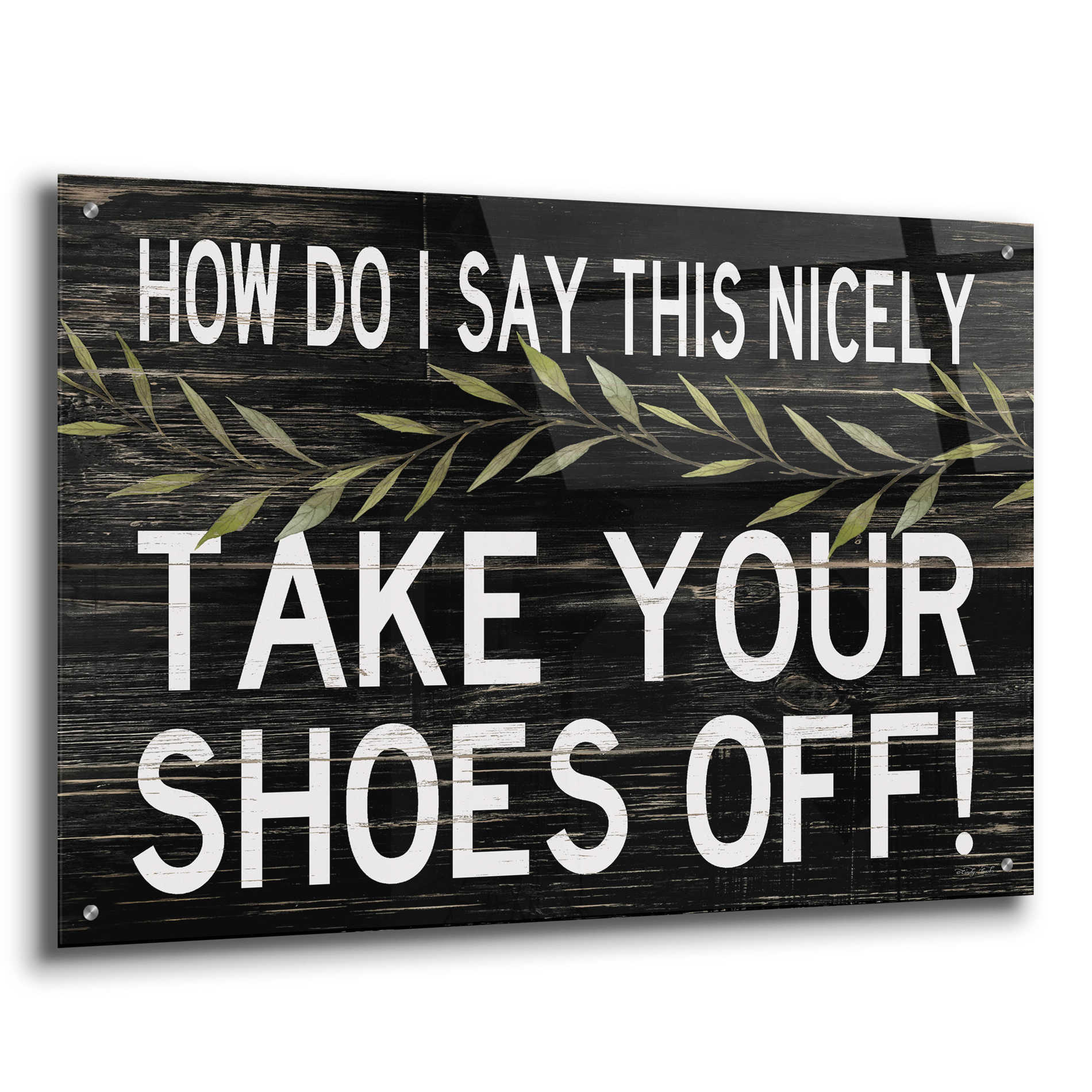 Epic Art 'Take Your Shoes Off' by Cindy Jacobs, Acrylic Glass Wall Art,36x24