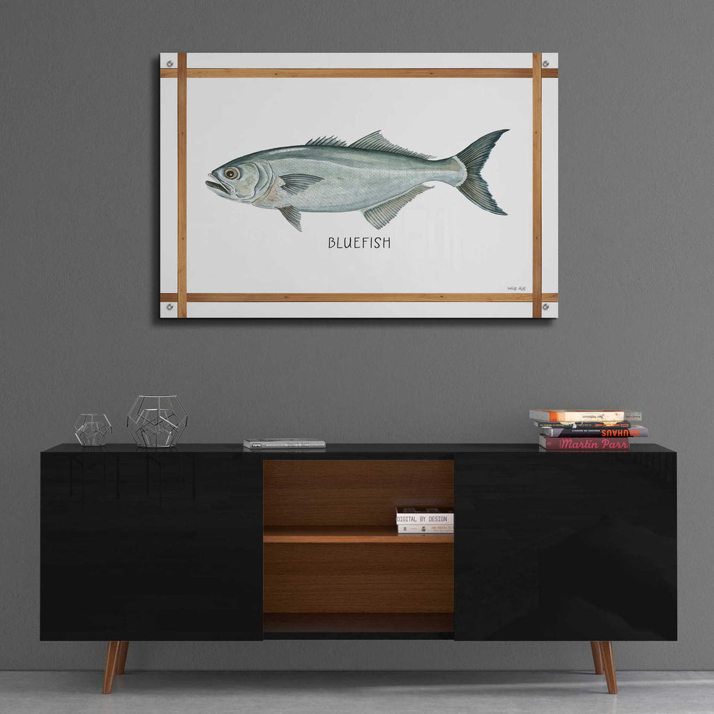 Epic Art 'Bluefish on White' by Cindy Jacobs, Acrylic Glass Wall Art,36x24