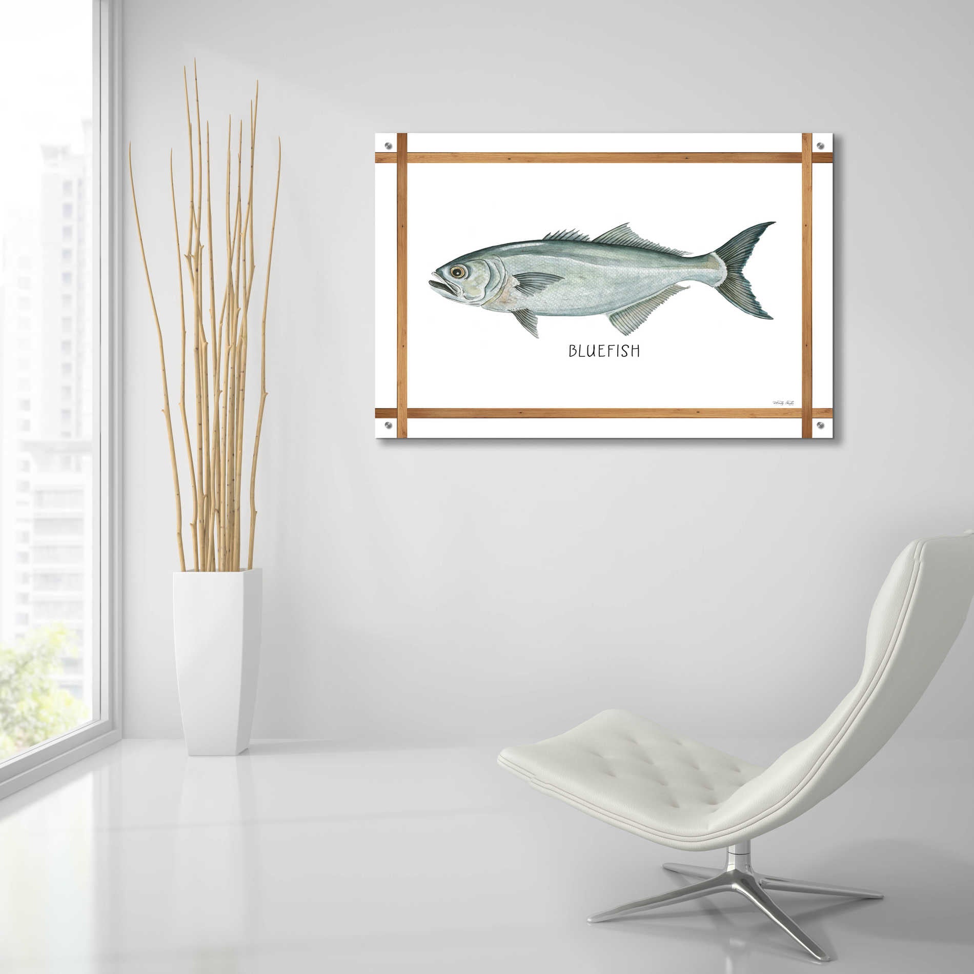 Epic Art 'Bluefish on White' by Cindy Jacobs, Acrylic Glass Wall Art,36x24