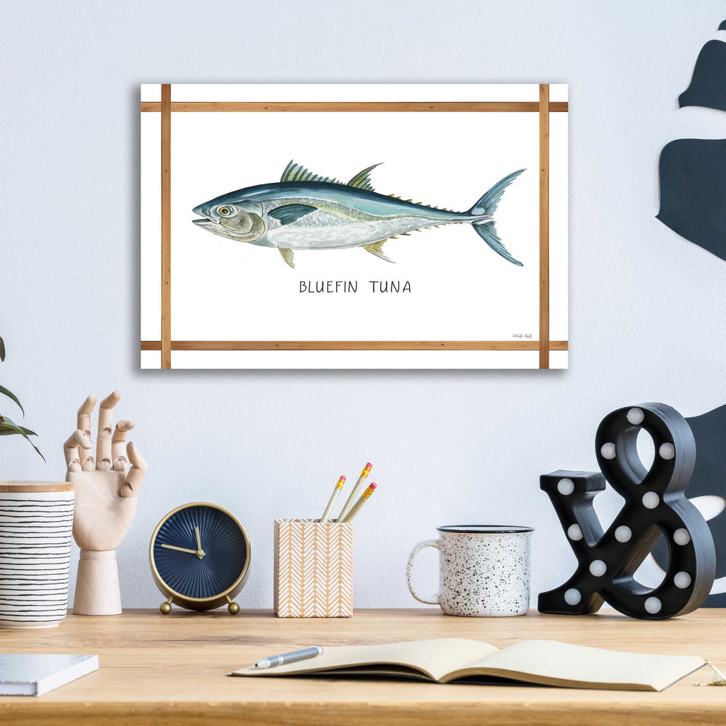 Epic Art 'Bluefin Tuna on White' by Cindy Jacobs, Acrylic Glass Wall Art,16x12