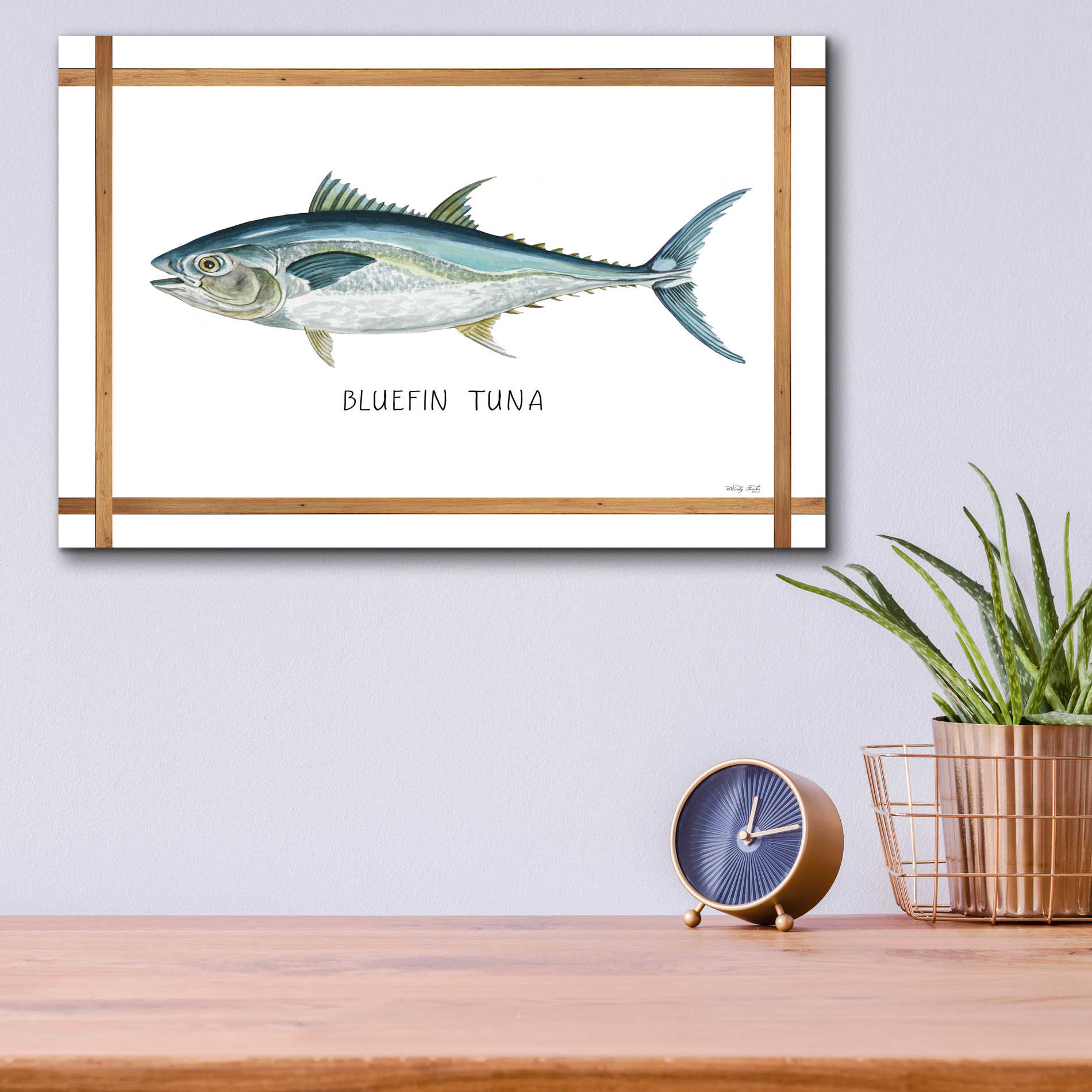 Epic Art 'Bluefin Tuna on White' by Cindy Jacobs, Acrylic Glass Wall Art,16x12