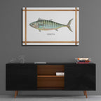 Epic Art 'Bonita on White' by Cindy Jacobs, Acrylic Glass Wall Art,36x24