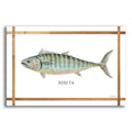 Epic Art 'Bonita on White' by Cindy Jacobs, Acrylic Glass Wall Art