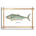 Epic Art 'Bonita on White' by Cindy Jacobs, Acrylic Glass Wall Art