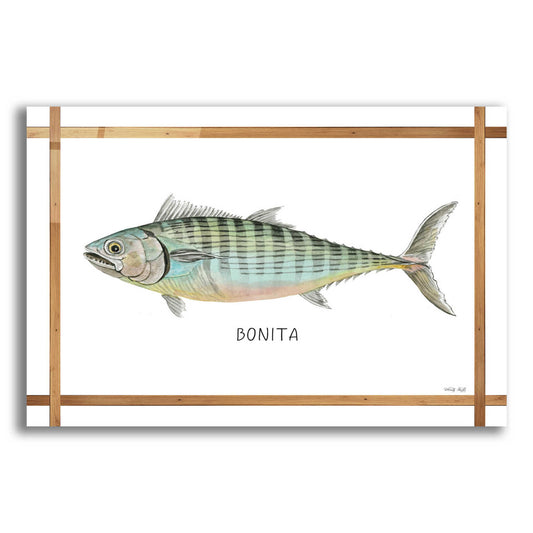 Epic Art 'Bonita on White' by Cindy Jacobs, Acrylic Glass Wall Art