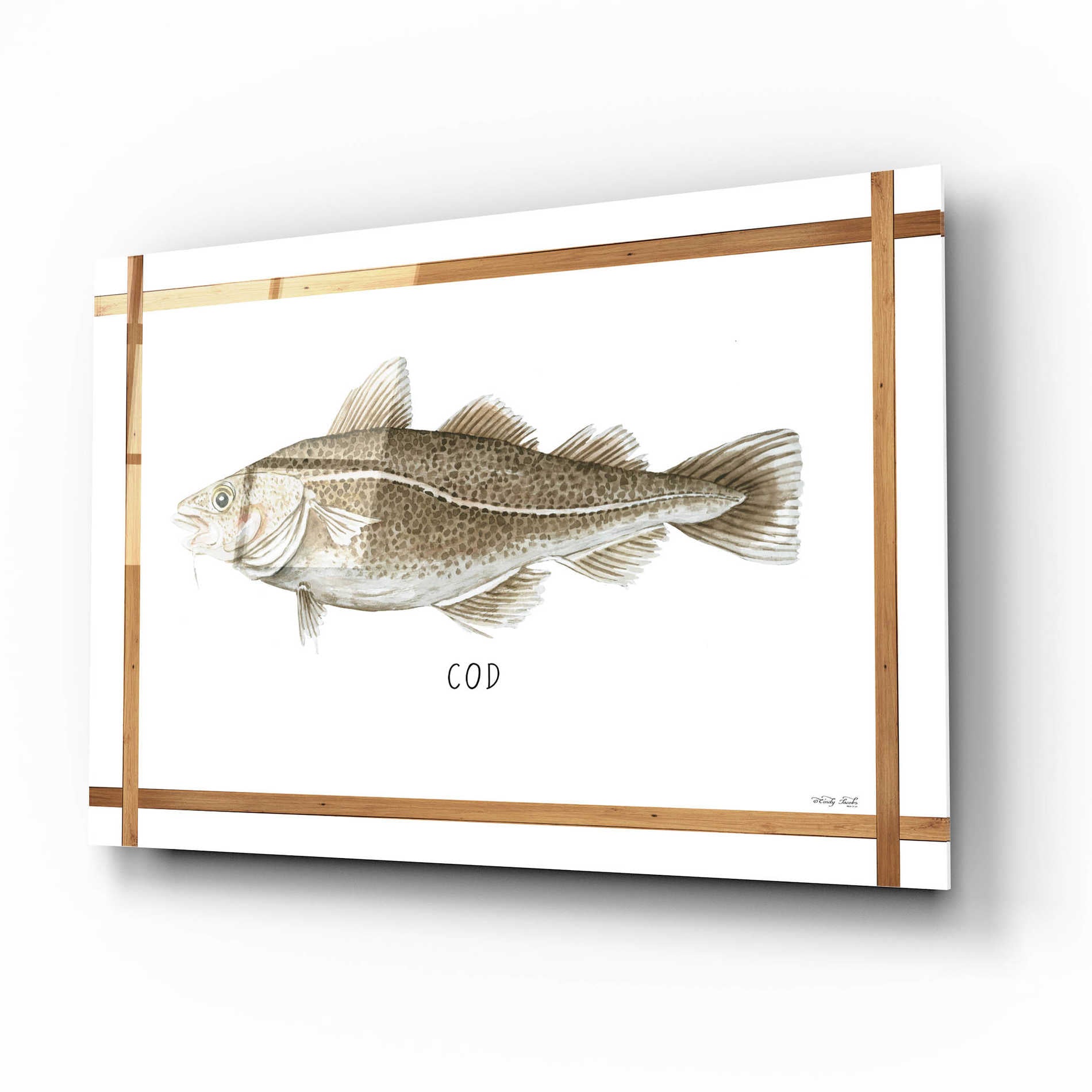 Epic Art 'Cod on White' by Cindy Jacobs, Acrylic Glass Wall Art,16x12