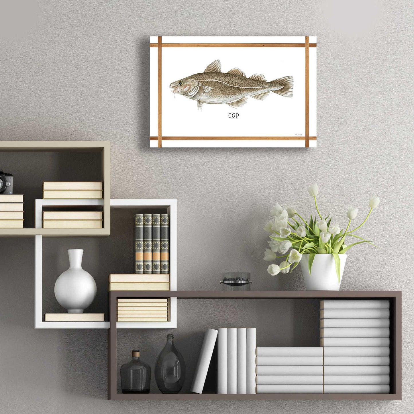 Epic Art 'Cod on White' by Cindy Jacobs, Acrylic Glass Wall Art,24x16