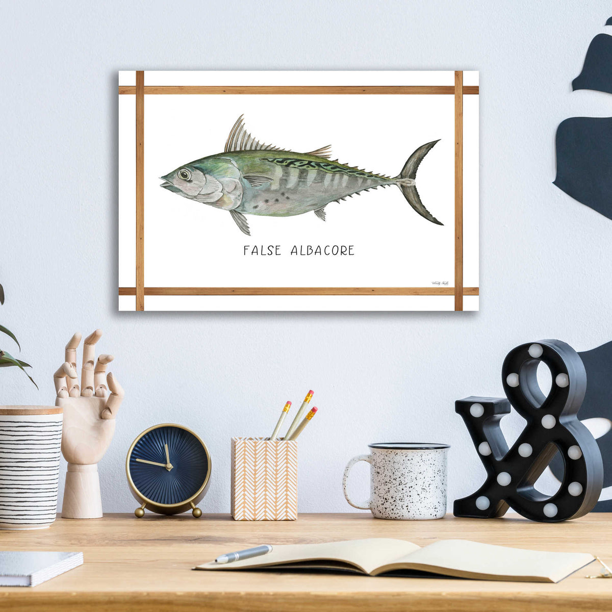 Epic Art 'False Albacore on White' by Cindy Jacobs, Acrylic Glass Wall Art,16x12