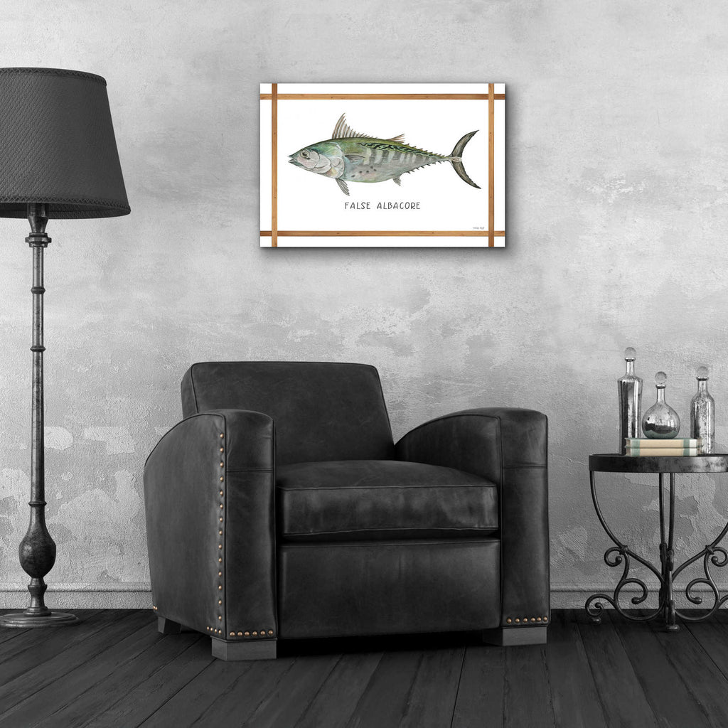 Epic Art 'False Albacore on White' by Cindy Jacobs, Acrylic Glass Wall Art,24x16
