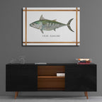 Epic Art 'False Albacore on White' by Cindy Jacobs, Acrylic Glass Wall Art,36x24