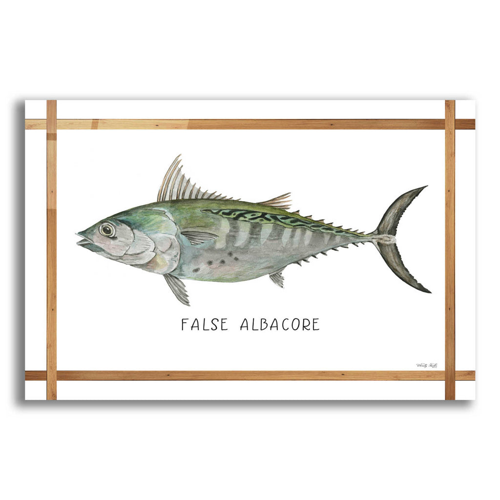 Epic Art 'False Albacore on White' by Cindy Jacobs, Acrylic Glass Wall Art