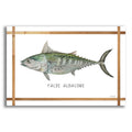 Epic Art 'False Albacore on White' by Cindy Jacobs, Acrylic Glass Wall Art