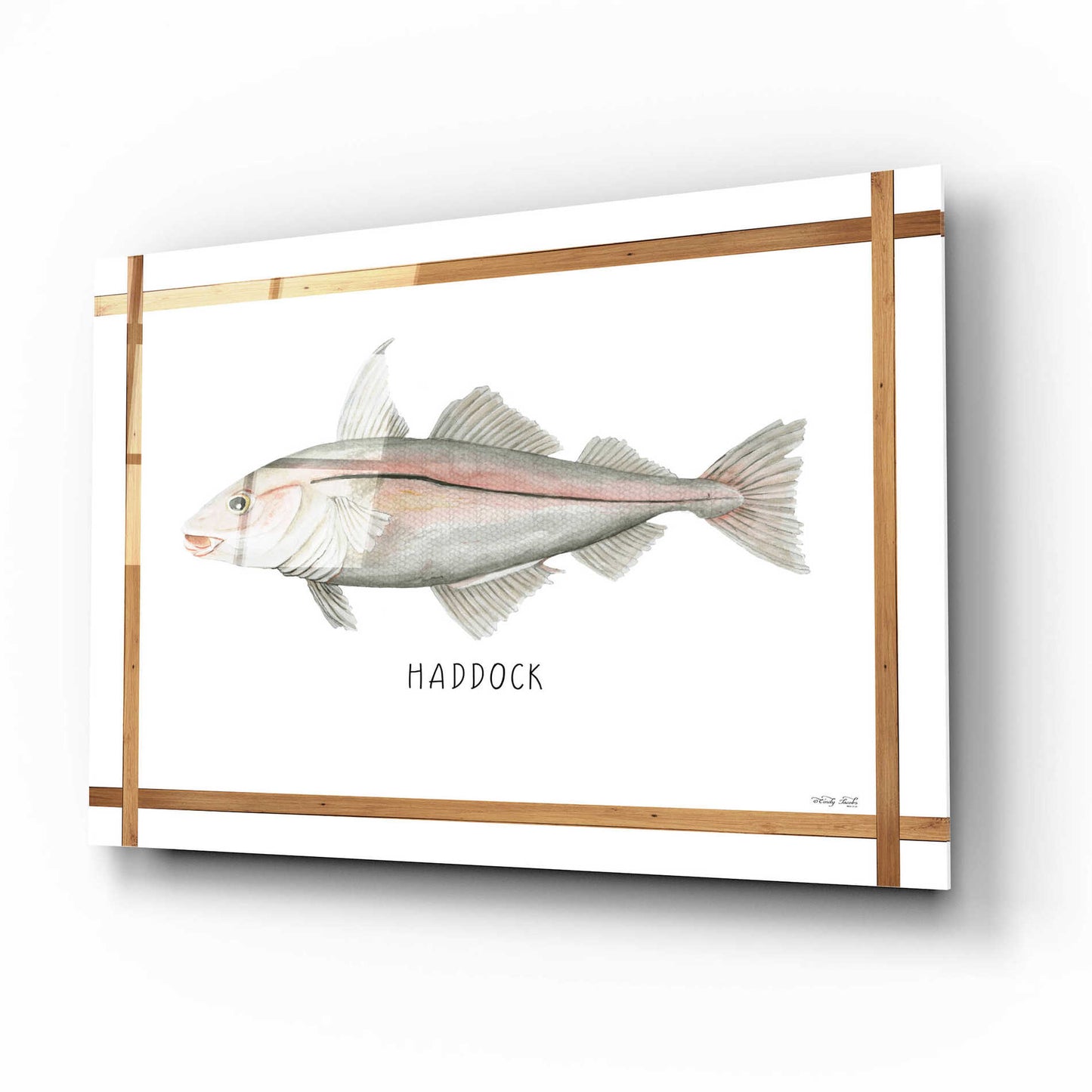 Epic Art 'Haddock on White' by Cindy Jacobs, Acrylic Glass Wall Art,16x12