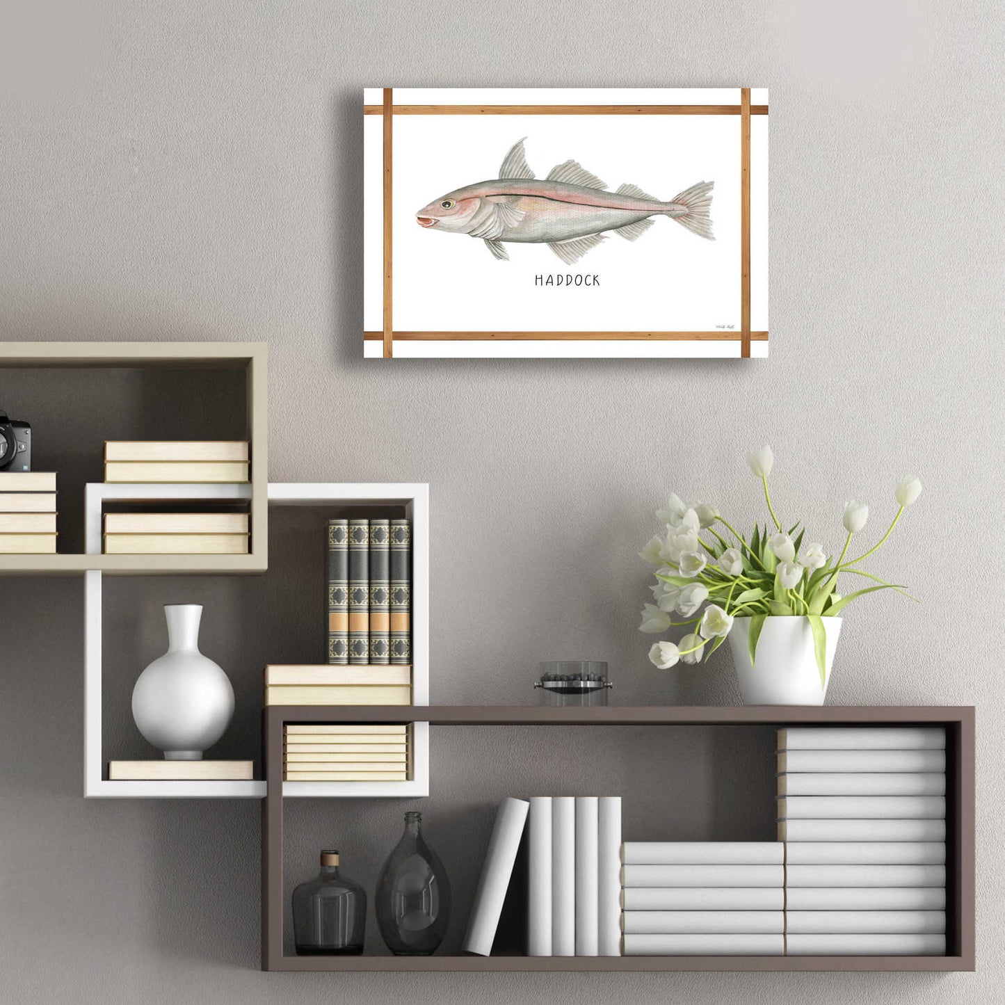 Epic Art 'Haddock on White' by Cindy Jacobs, Acrylic Glass Wall Art,24x16