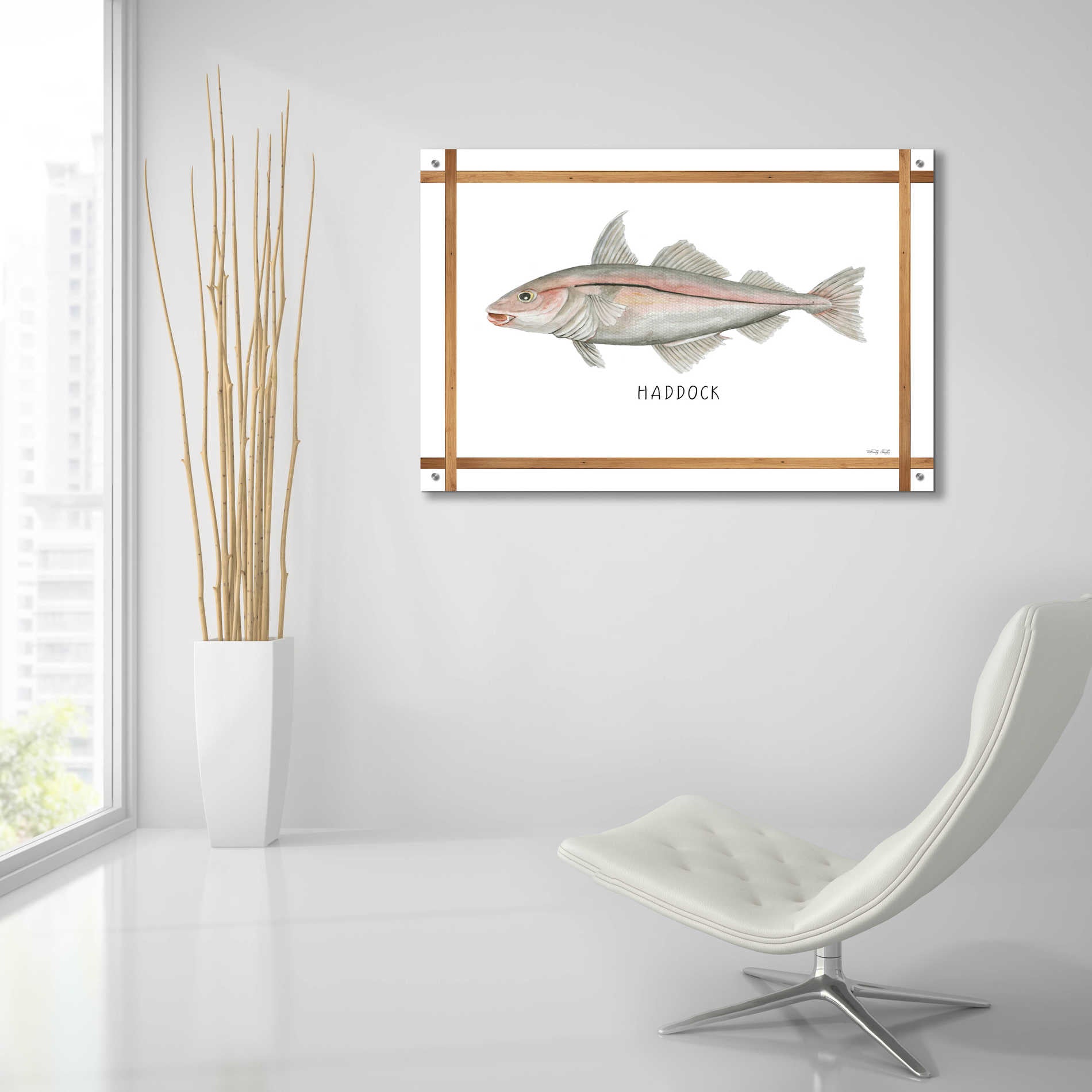 Epic Art 'Haddock on White' by Cindy Jacobs, Acrylic Glass Wall Art,36x24