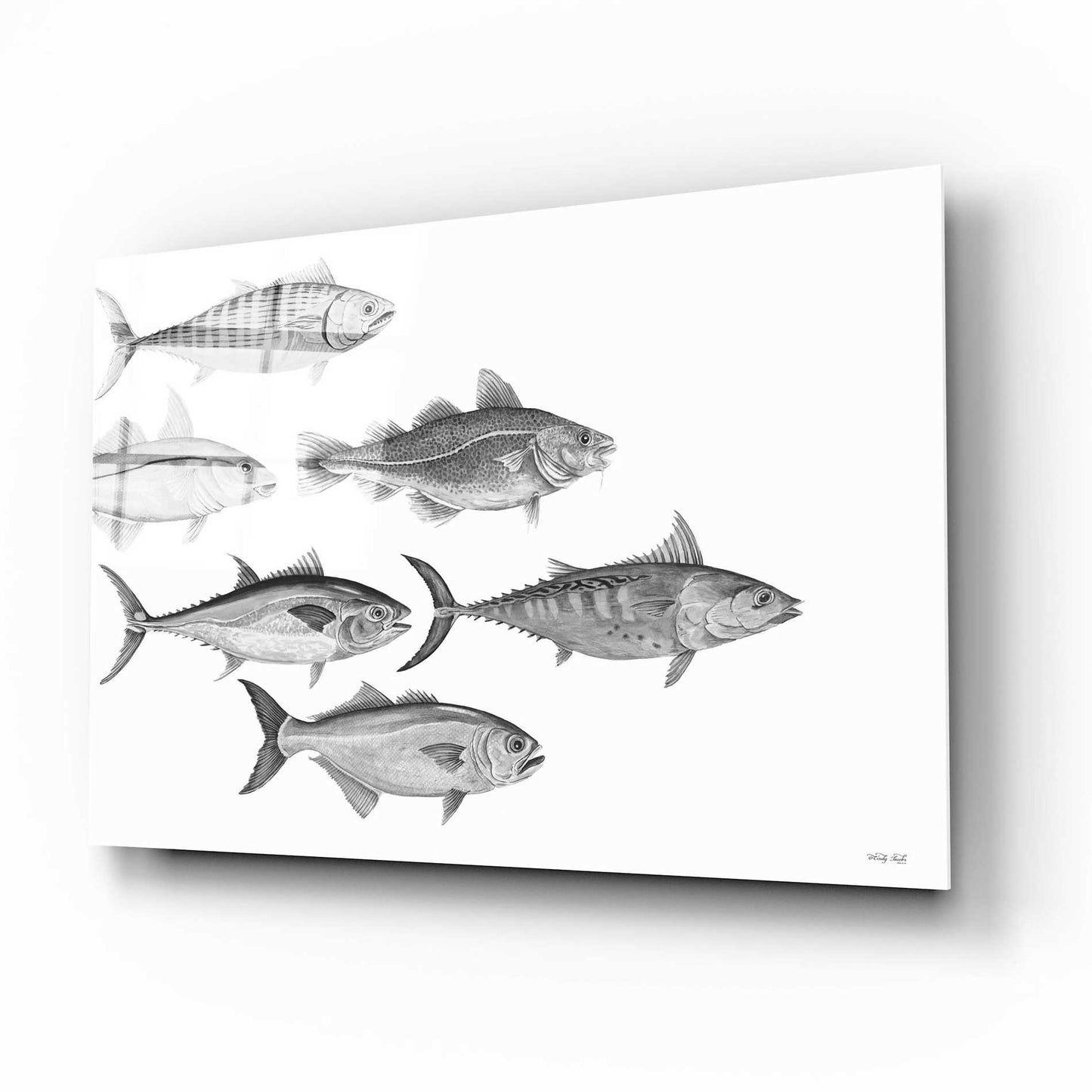 Epic Art 'Variety of Fish I' by Cindy Jacobs, Acrylic Glass Wall Art,16x12