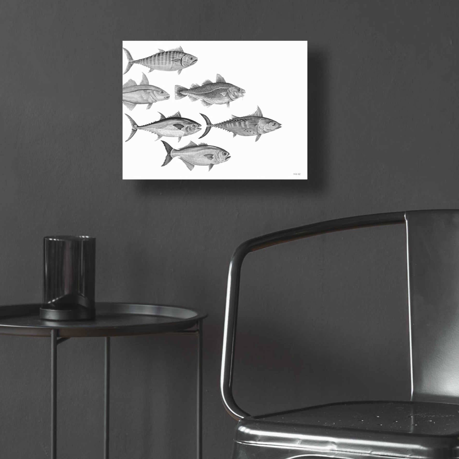 Epic Art 'Variety of Fish I' by Cindy Jacobs, Acrylic Glass Wall Art,16x12