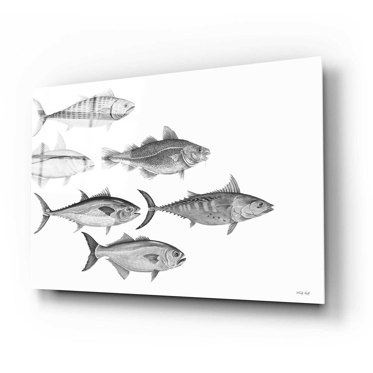 Epic Art 'Variety of Fish I' by Cindy Jacobs, Acrylic Glass Wall Art,24x16
