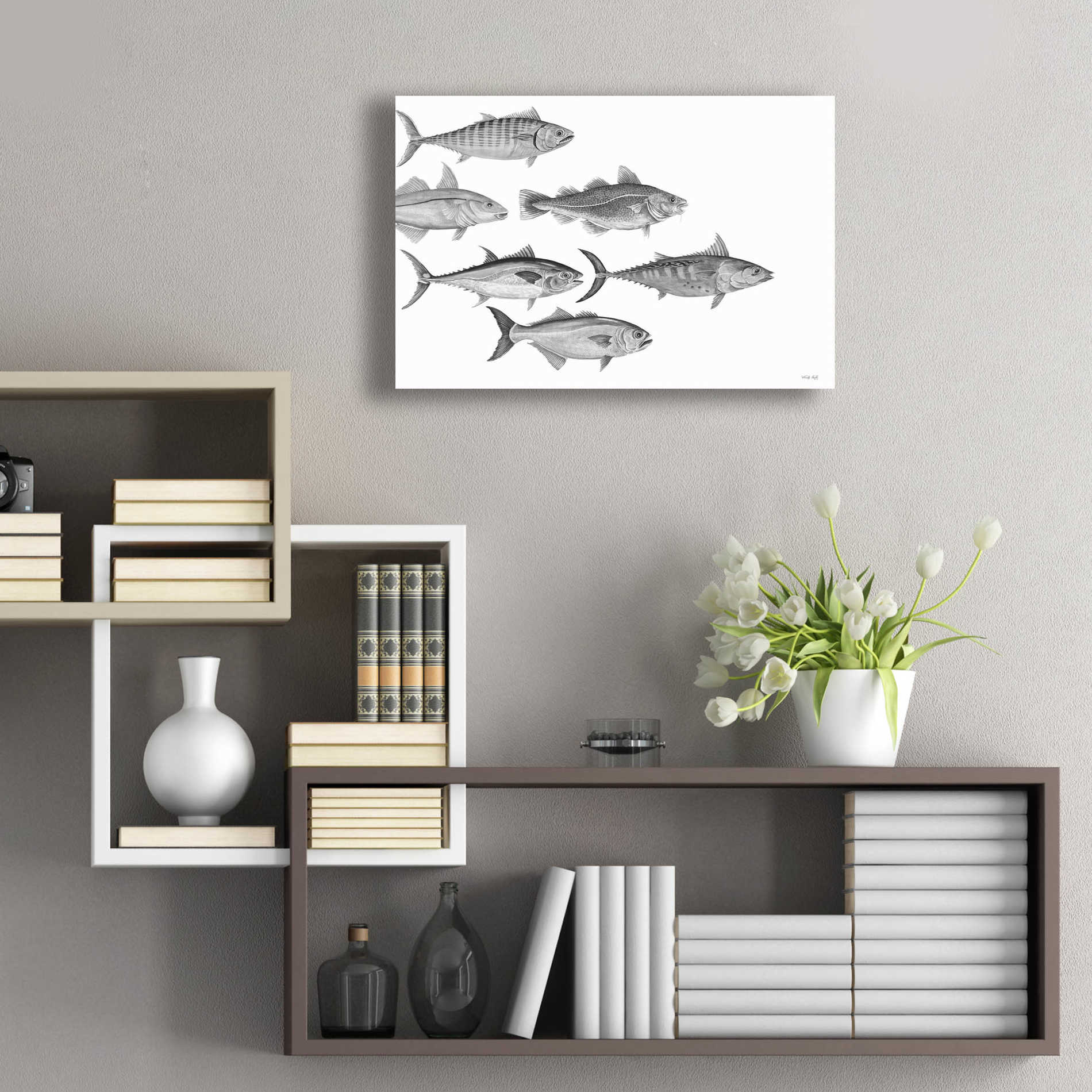 Epic Art 'Variety of Fish I' by Cindy Jacobs, Acrylic Glass Wall Art,24x16