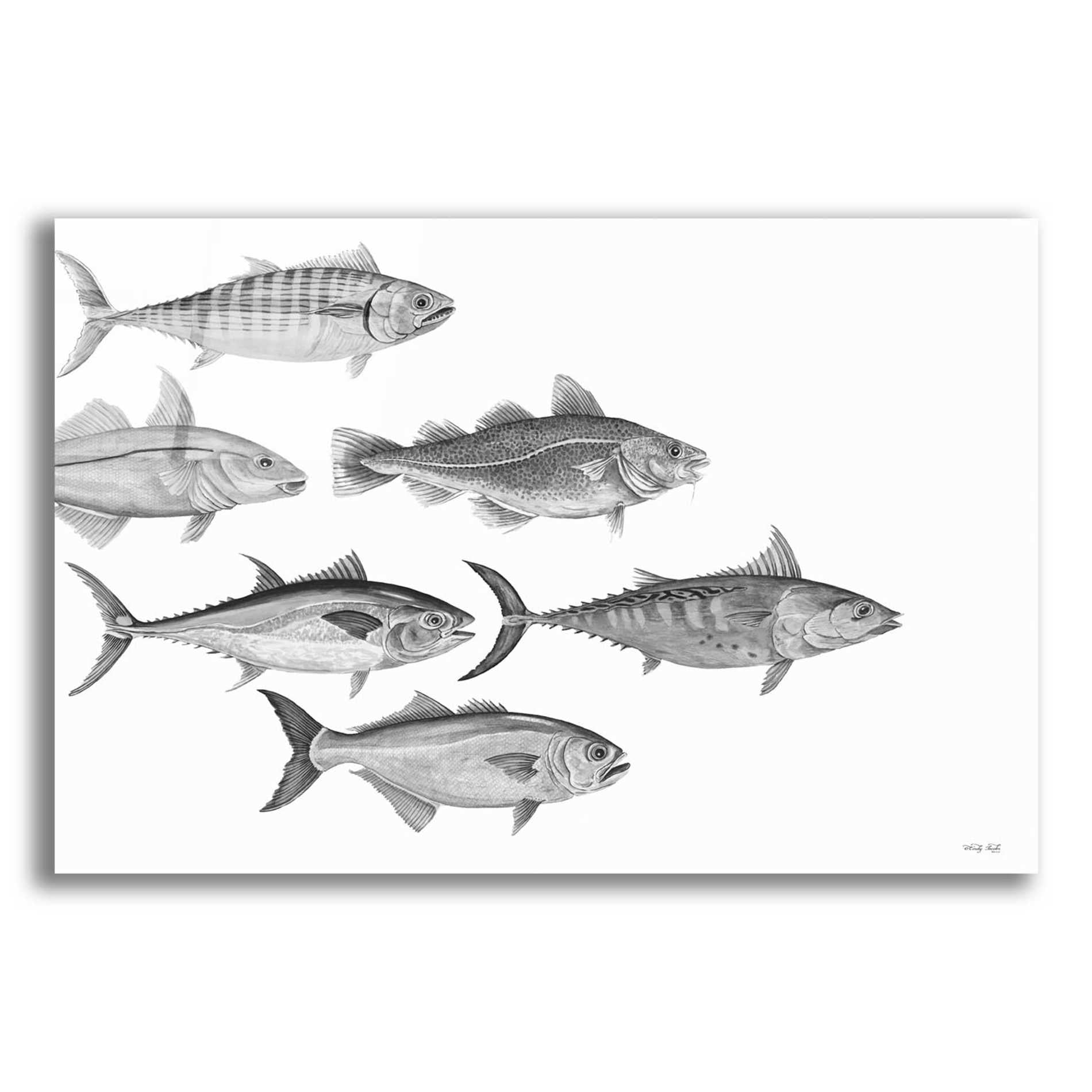 Epic Art 'Variety of Fish I' by Cindy Jacobs, Acrylic Glass Wall Art,24x16