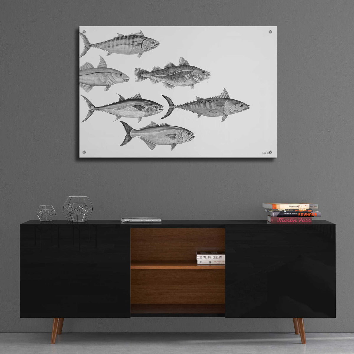 Epic Art 'Variety of Fish I' by Cindy Jacobs, Acrylic Glass Wall Art,36x24