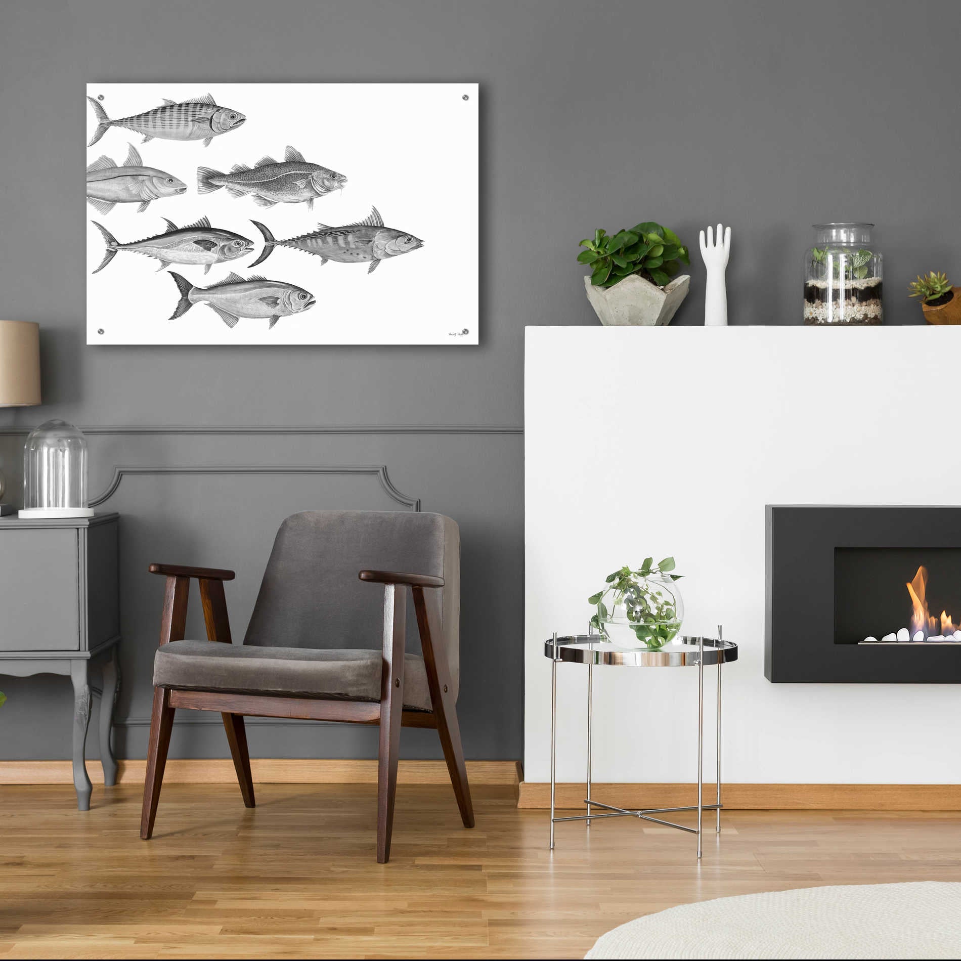 Epic Art 'Variety of Fish I' by Cindy Jacobs, Acrylic Glass Wall Art,36x24