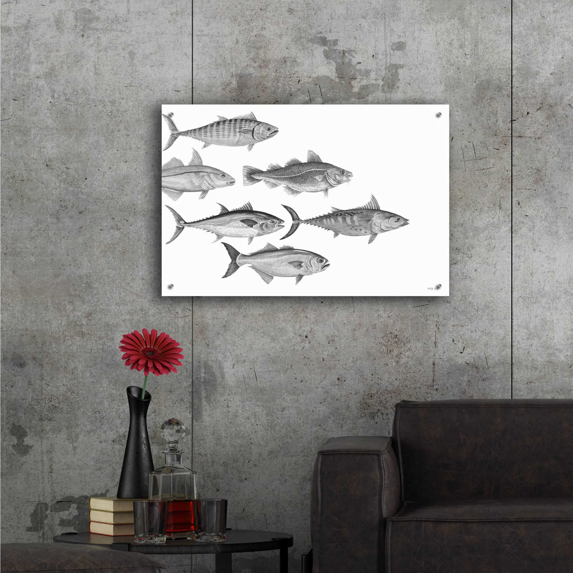 Epic Art 'Variety of Fish I' by Cindy Jacobs, Acrylic Glass Wall Art,36x24