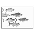 Epic Art 'Variety of Fish I' by Cindy Jacobs, Acrylic Glass Wall Art