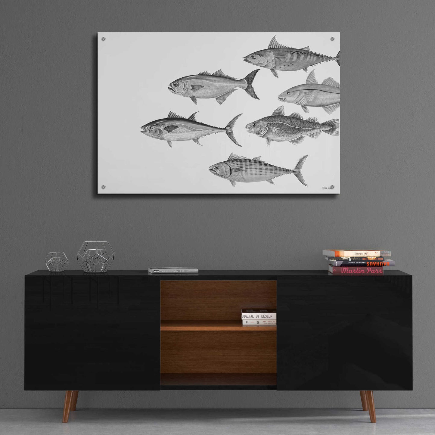 Epic Art 'Variety of Fish II' by Cindy Jacobs, Acrylic Glass Wall Art,36x24